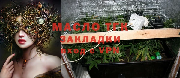 шишки Беломорск