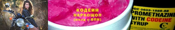 ешки Снежногорск