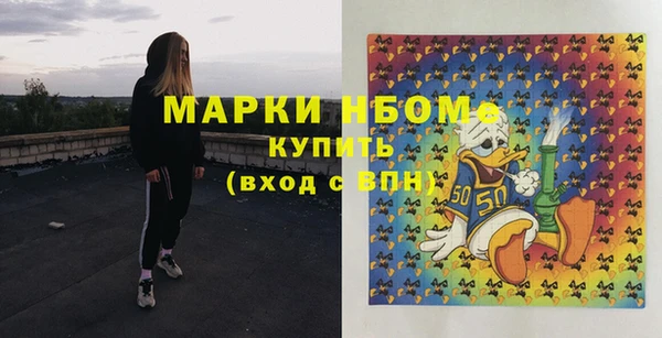 шишки Беломорск