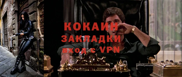 шишки Беломорск